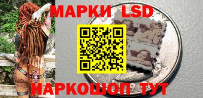 меф Гатчина